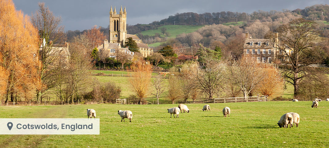 This unique selection of hand-picked designs embraces the unexpected.